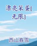 漂亮笨蛋[无限]by西山春雪