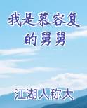 我是慕容复的舅舅