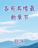 各有其缘最新章节