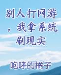 别人打网游，我拿系统刷现实