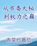 从市委大秘到权力之巅