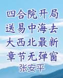 四合院:开局就结婚