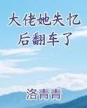 大佬失忆后只记我 小说