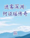 迷雾深渊：何征瑶传奇小说推荐