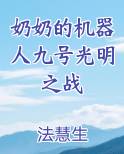 奶奶的机器人九号光明之战
