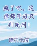 疯了吧，这律师开庭只判死刑！免费阅读笔趣阁