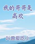 我的哥哥是高欢