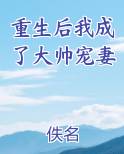 重生后我成了大帅宠妻百度云
