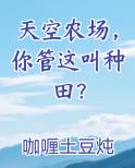 天空农场，你管这叫种田？小说短剧