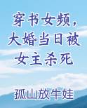 穿书女频，大婚当日被女主杀死