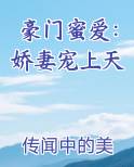 豪门宠婚娇妻宠入怀