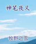 神笔夜叉在线阅读全文