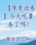 【原赏读感】今天吃薯条了吗？