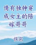 穿成女主的陪嫁哥哥小说
