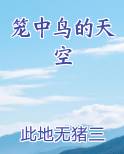 笼中鸟的天空 小说