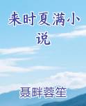 夏满温情小说